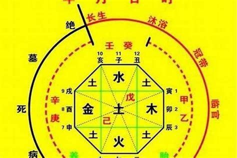 喜用神木|八字五行算命 